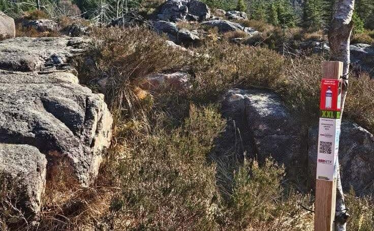 Stolpejakten i Bergen Vest og i Øygarden byr på mage ulike utfordringer. Noe stolper er lette å finne, andre mer vanskelige. Her fra en stolpe i beredsskapsløypen ved Fjell festning.